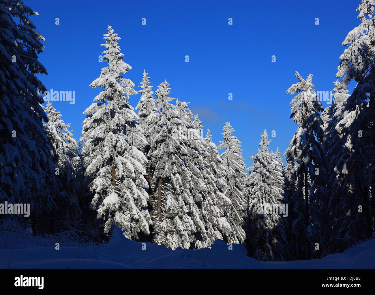 Inverno in Baviera, in Frankonia, regione di Fichtelgebirge, Germania Foto Stock