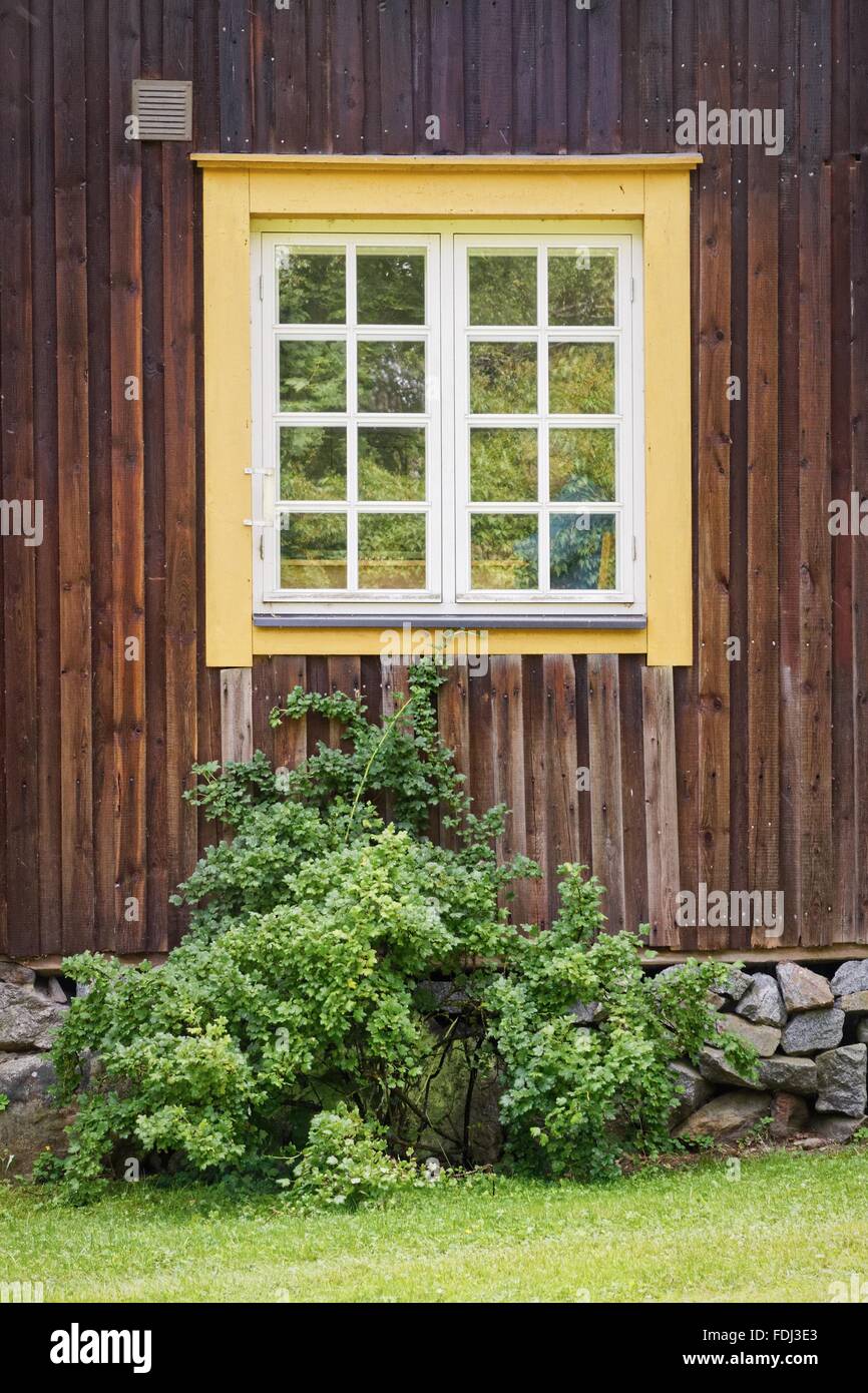 Edificio di campagna esterno con la riflessione della scena estiva su una vecchia finestra. Verde erba e arbusti crescono al di sotto della finestra. Foto Stock