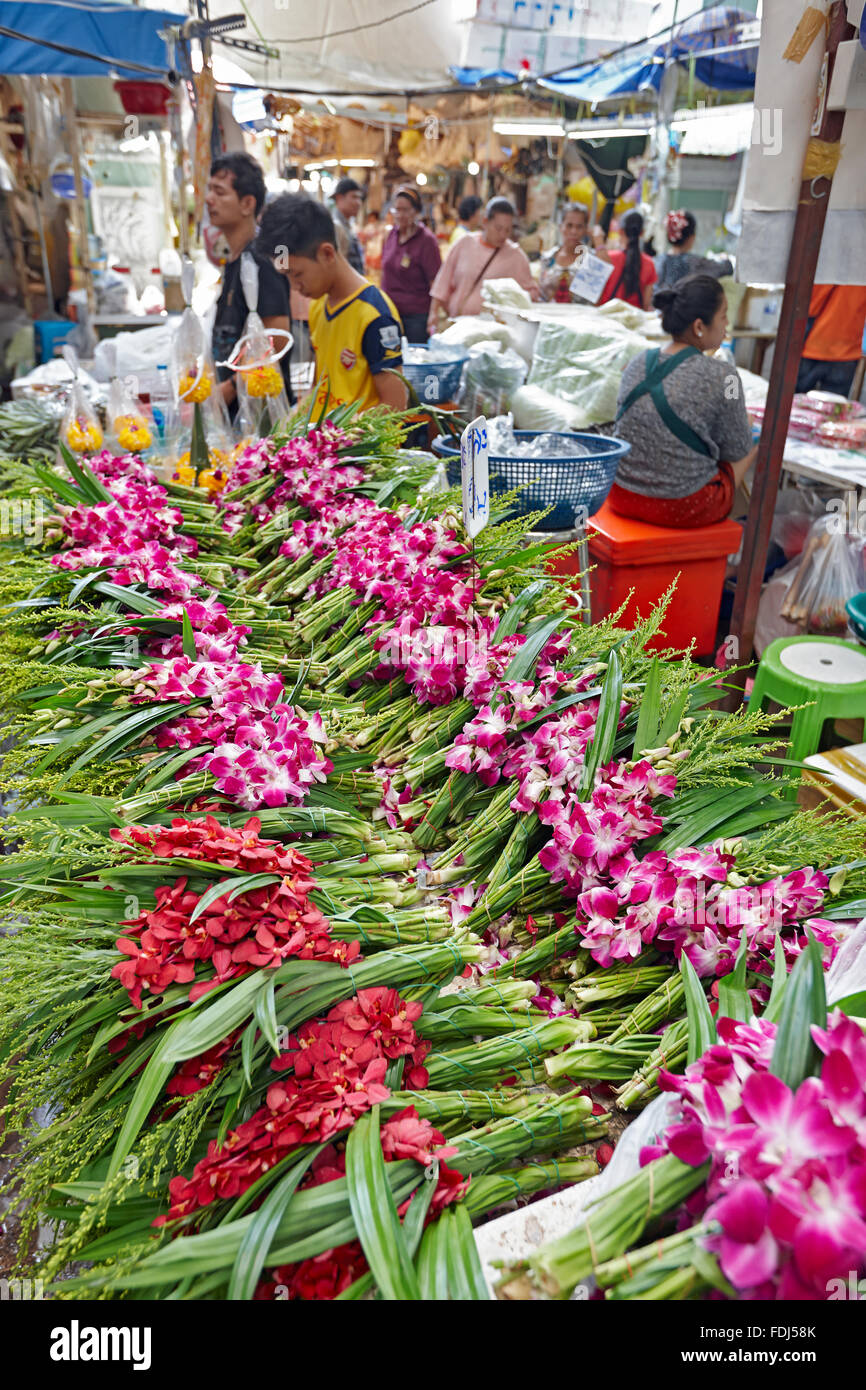 Le orchidee al Pak Khlong Talat il mercato dei fiori. Bangkok, Tailandia. Foto Stock