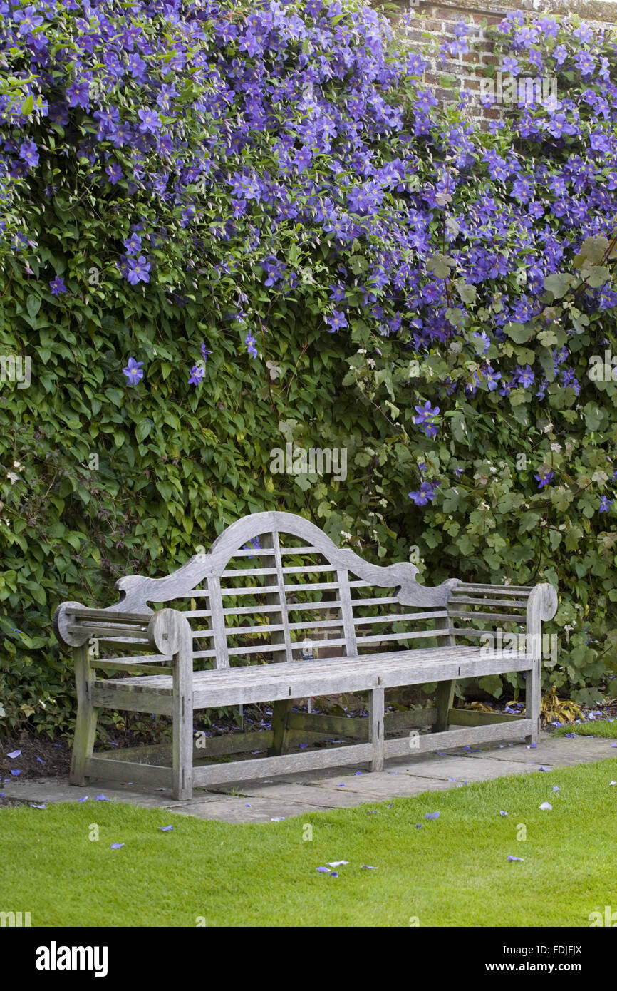 La clematide 'Perle d'Azur' dietro un banco di Lutyens nel Giardino di Rose presso il castello di Sissinghurst giardino, vicino a Cranbrook, Kent. Foto Stock
