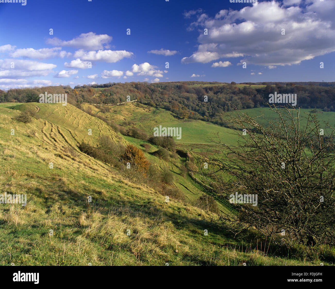 Faro Haresfield, vicino a Stroud, nel Gloucestershire. Foto Stock