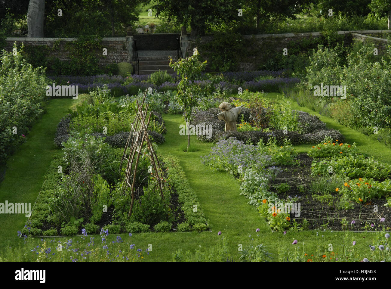 Una vista di tutta la cucina giardino nel mese di luglio a Wordsworth House e giardino, Cleveland, il luogo di nascita e infanzia a casa del poeta nel 1770s. Foto Stock