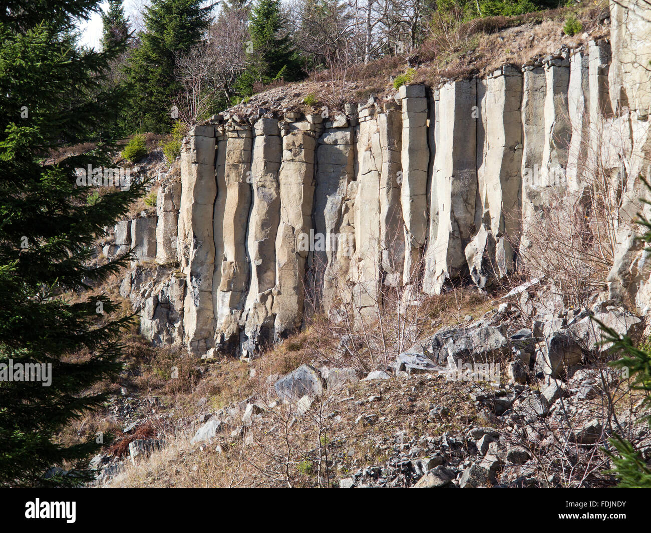 Vecchia cava di basalto nei Monti metalliferi Foto Stock