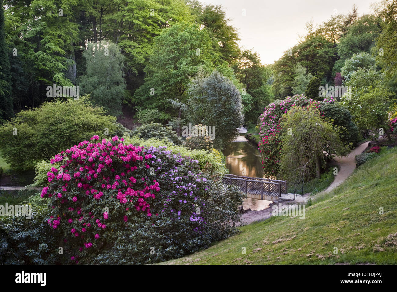 Il fiume e la valle del giardino che è stato creato nel tardo settecento da Samuel Greg, il proprietario del frantoio, e sua moglie Hannah, per completare la loro casa. Il giardino segue la valle del fiume Bollin ed è parte di Quarry Bank Mi Foto Stock