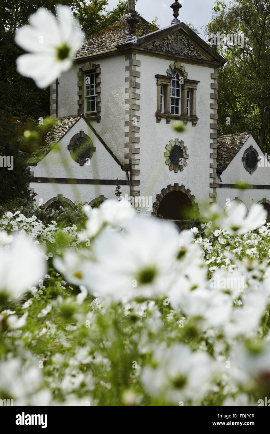 Una vista del perno mulino osservato su Cosmo bianco fiori sul Canal terrazza ad agosto a Bodnant Garden, Conwy, Galles. Foto Stock