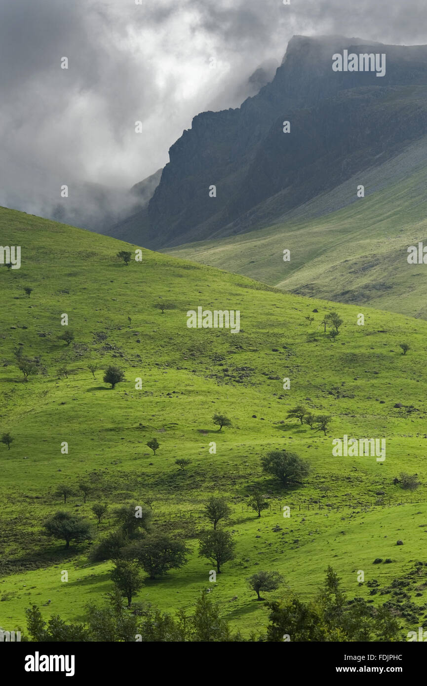 Una vista di Castle, la vetta più alta in Inghilterra, dal National Trust campeggio a testa Wasdale, Cumbria. Foto Stock