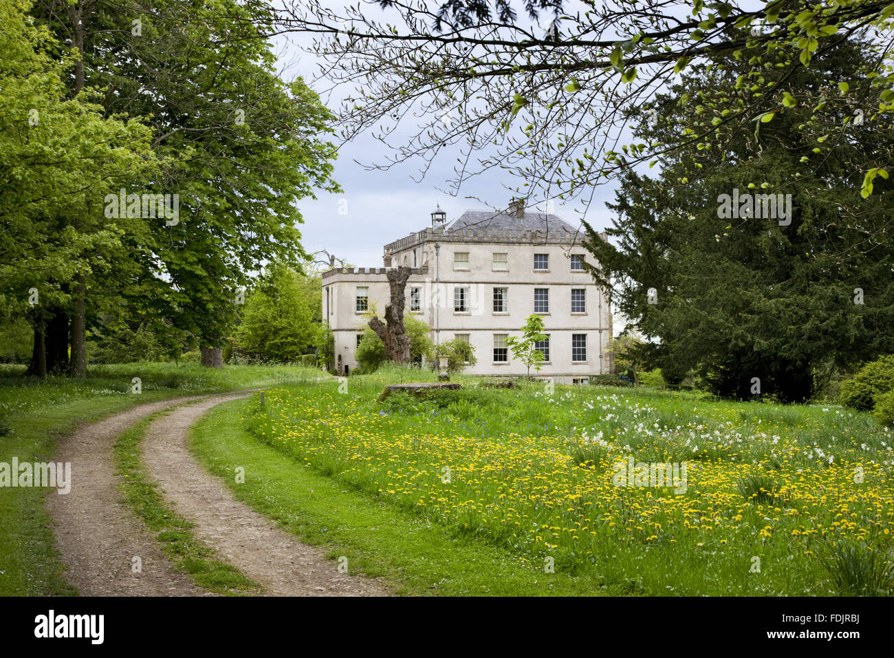 Il nord e l ovest fronti di Newark Park, nel Gloucestershire. Originariamente un Elizabethan Hunting Lodge, aggiunte e modifiche attribuito a James Wyatt sono state fatte per la costruzione nel 1790s, compreso il parapetto a corona e finestre a ghigliottina. Foto Stock