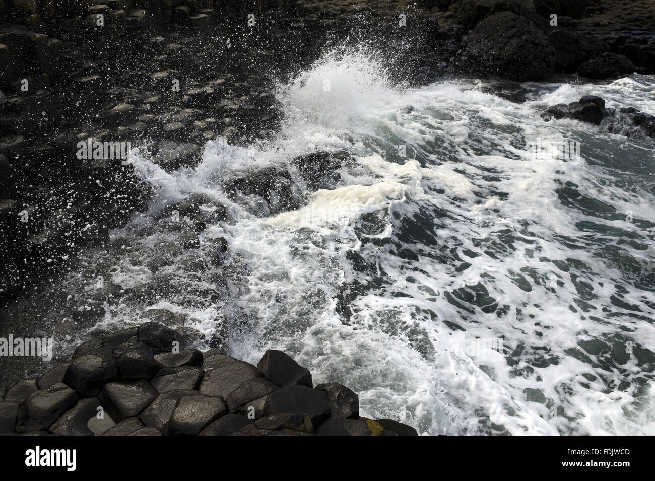 Onde che si infrangono sulle colonne di basalto a Giant's Causeway, Co. Antrim, Irlanda del Nord. Questo Sito del Patrimonio Mondiale sulla costa North Antrim è stato creato da eruzioni vulcaniche 60 milioni di anni fa. Foto Stock