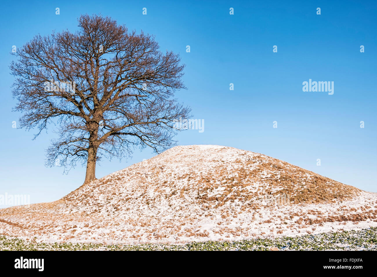 Fu il luogo di sepoltura è arroccato su di una collina con ampie vedute, 100 metri sopra il livello del mare. Su entrambi i lati della strada e attorno a Ron Foto Stock