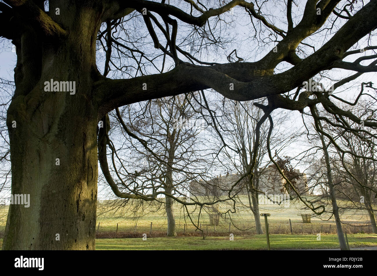 Vista la medievale Chirk Castle, Wrexham, Galles, attraverso il parco in dicembre. Foto Stock