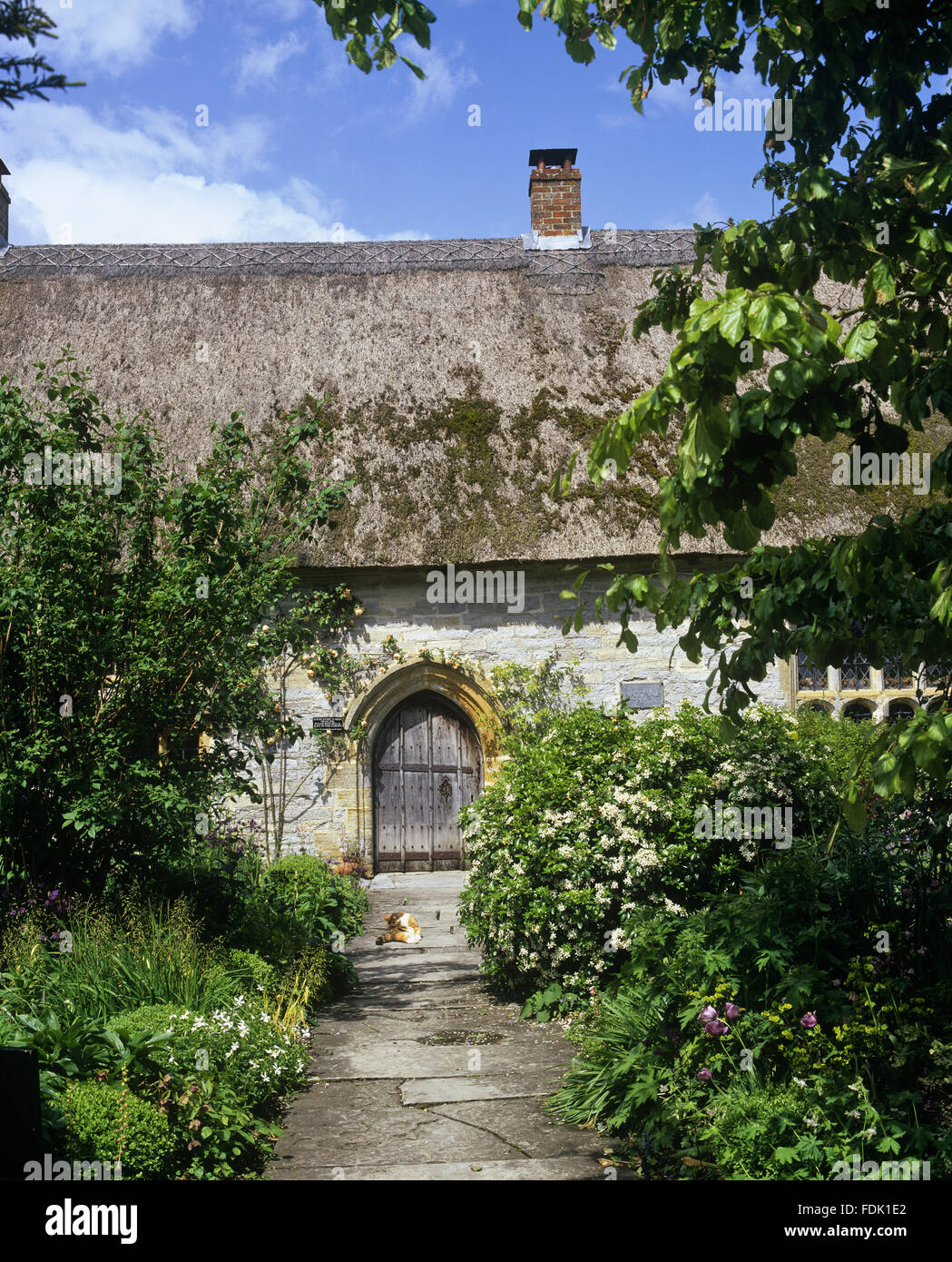 Sacerdote della Casa di Muchelney, Somerset. La tardo medievale hall-house è stato costruito nel 1308 ed era originariamente la casa dei sacerdoti che hanno servito la chiesa parrocchiale. Foto Stock