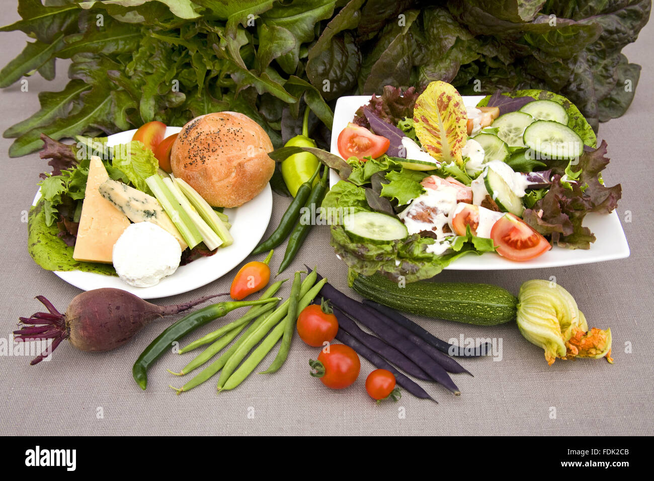 Un bel display di ortaggi freschi coltivati nel nuovo giardino vegetale in agosto presso il castello di Sissinghurst, vicino Cranbrook, Kent. Foto Stock