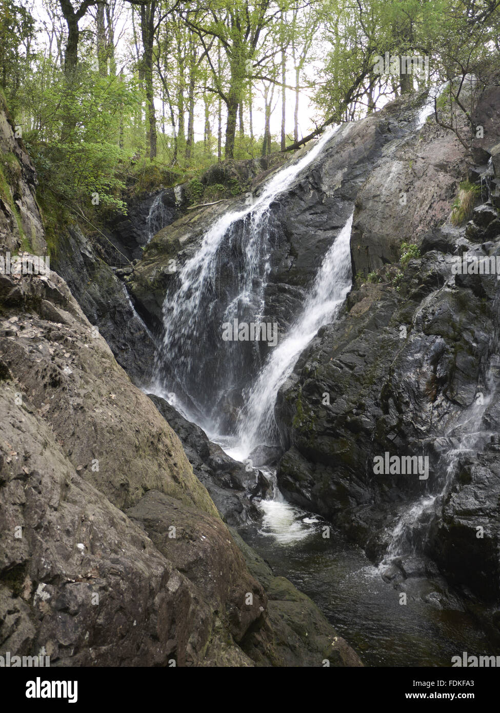 Rhaeadr Ddu cascata sul fiume Gamlan, Dolmelynllyn, Gwynedd, Galles. Foto Stock