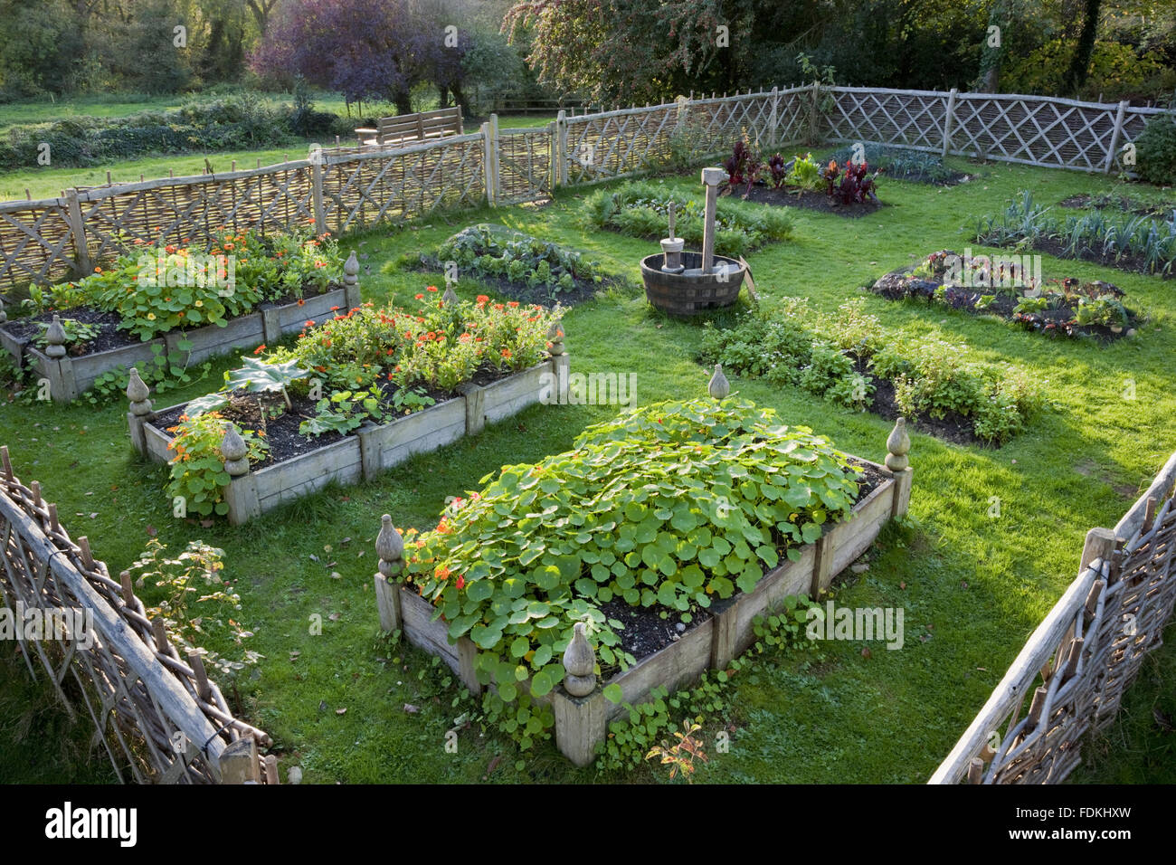 Il Tudor Giardino a Trerice, Cornwall. Foto Stock