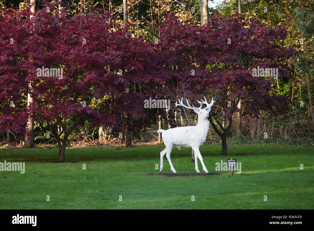 Statua del Cervo Bianco nel Giubileo Avenue a piedi a Mount Stewart Casa e giardino, County Down. Foto Stock
