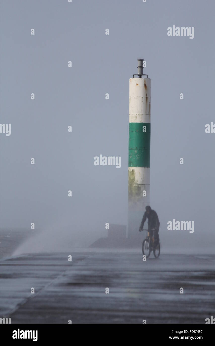 Aberystwyth Wales UK, 2016 Un diavolo osano ciclista box stesso contro le onde enormi pilotato da gale force avvolge durante le tempeste invernali Foto Stock