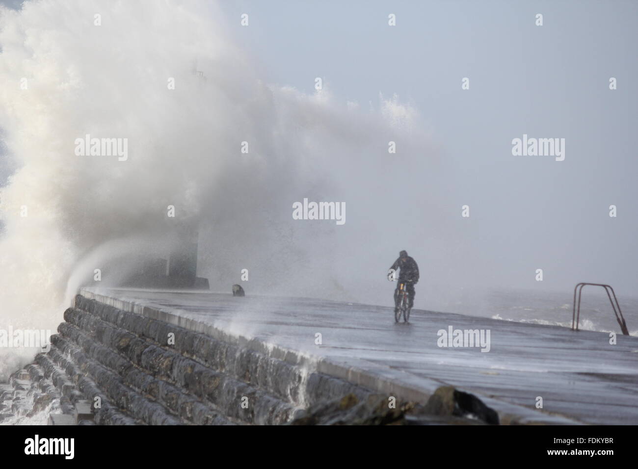 Aberystwyth Wales UK, 2016 Un diavolo osano ciclista box stesso contro le onde enormi pilotato da gale force avvolge durante le tempeste invernali Foto Stock