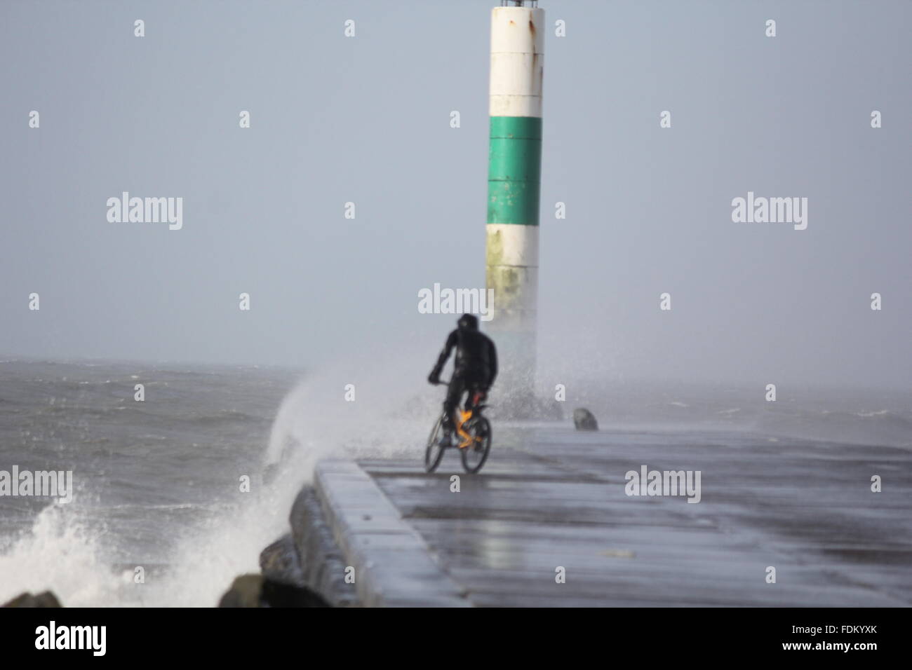Aberystwyth Wales UK, 2016 Un diavolo osano ciclista box stesso contro il Galles enorme pilotato da gale force avvolge durante le tempeste invernali Foto Stock