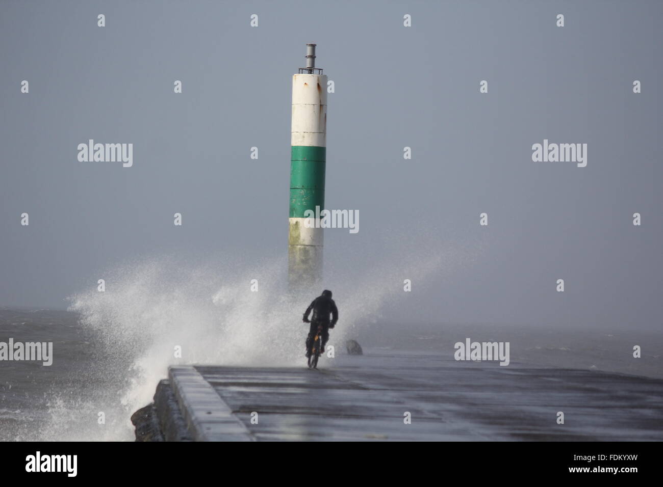 Aberystwyth Wales UK, 2016 Un diavolo osano ciclista box stesso contro le onde enormi pilotato da gale force avvolge durante le tempeste invernali Foto Stock