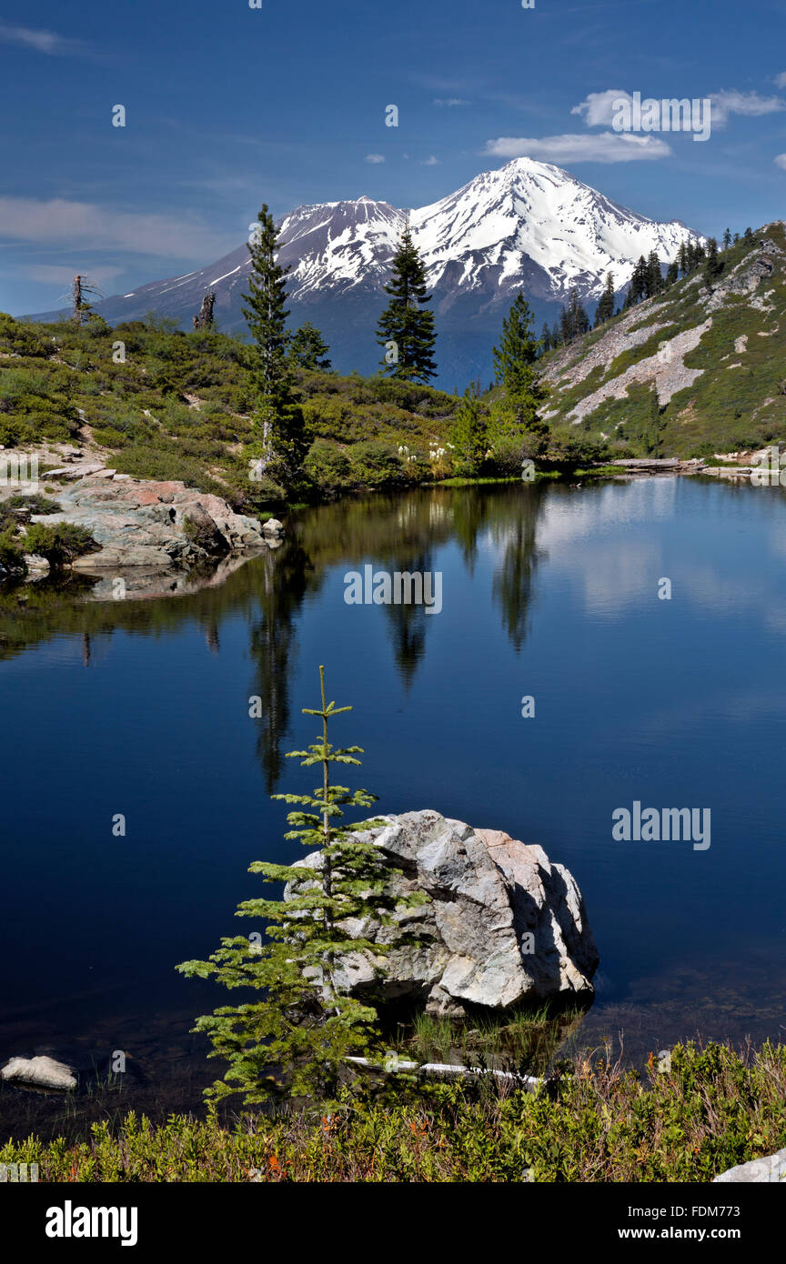 CA02652-00...CALIFORNIA - Mount Shasta Shastina e dal lago di cuore nel Shasta - Trinity National Forest. Foto Stock