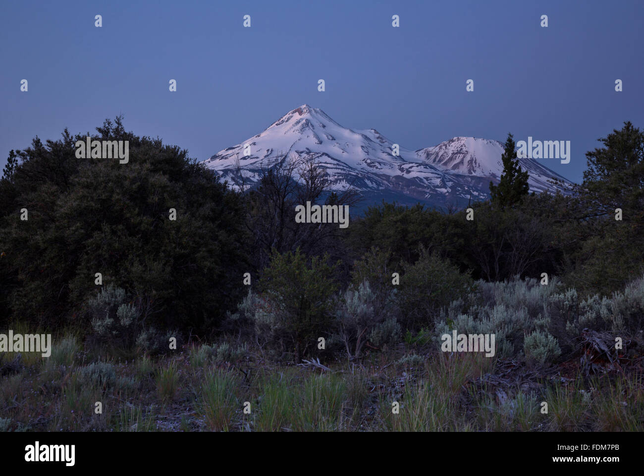 CA02670-00...CALIFORNIA - Pre-alba la luce sul monte Shasta e poco Shastina nel Shasta - Trinity National Forest. Foto Stock