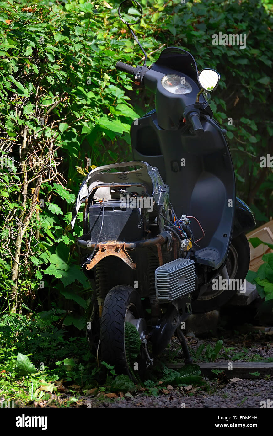 Vecchio rotto uno scooter a motore sullo sfondo di cespugli verdi,  abbandonata in cantiere su un luminoso giorno di sole Foto stock - Alamy