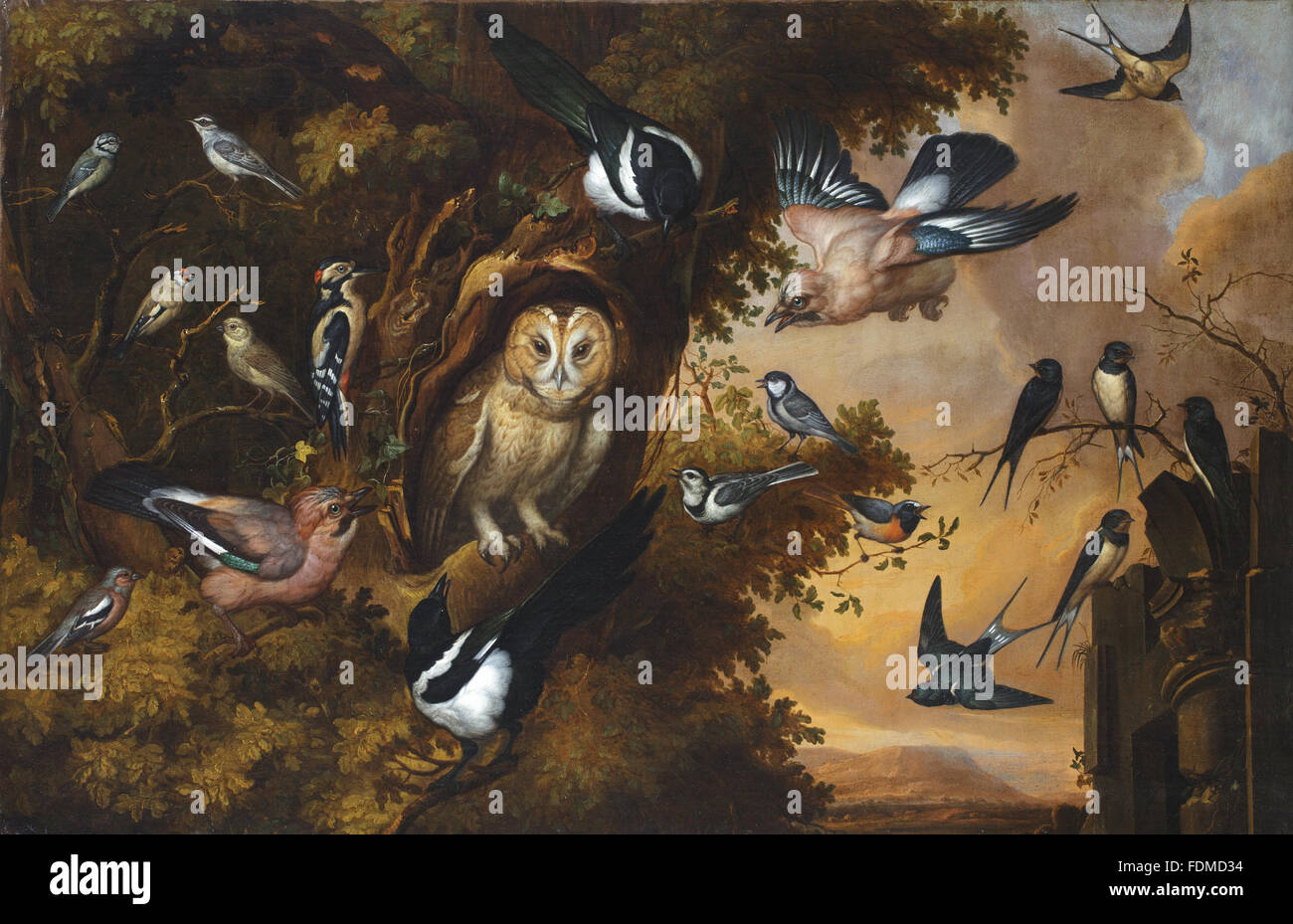 Un gufo di essere assaliti da altri uccelli da Francis Barlow (Lincolnshire c.1626 - Londra 1704), 1673, olio su tela, 886 x 1340 mm (34 ? X 52 ¾ in), a casa di prosciutto, Surrey. Il National Trust Numero di inventario: 1140159. Foto Stock