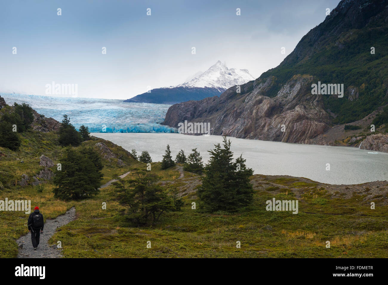 Lago grigio e il ghiacciaio Grey, Parco Nazionale di Torres del Paine Patagonia cilena, Cile Foto Stock