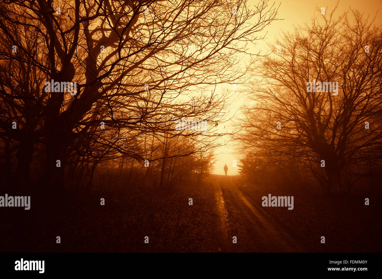 Silhouette uomo sulla strada scura con alberi di spaventoso nella luce del tramonto Foto Stock