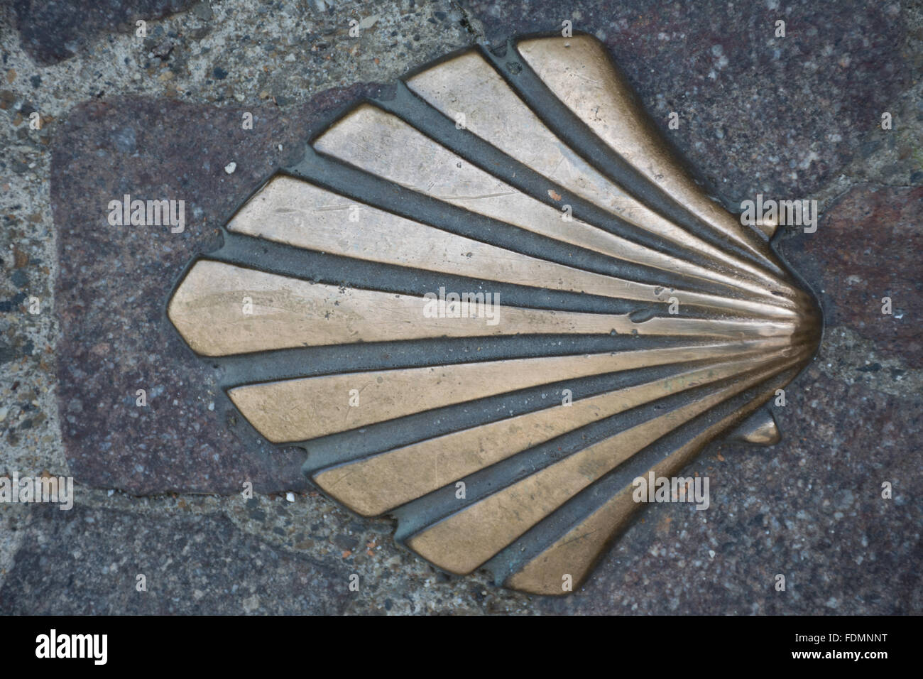 Marcatura della shell il modo di St Jacques (Camino de Santiago, chemin de Saint Jacques de Compostelle) in San Sever Francia Foto Stock