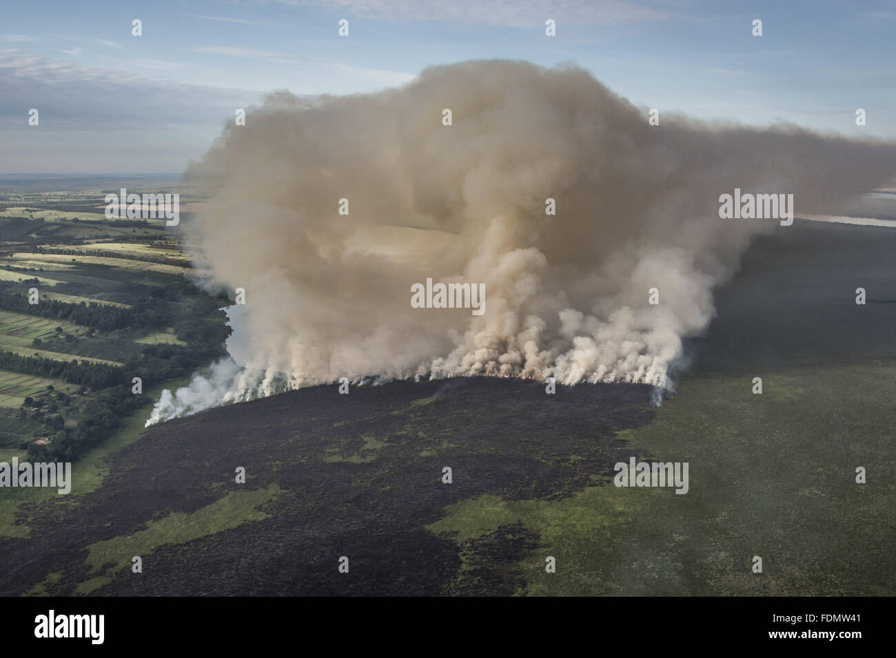 Vista aerea del fuoco nella vegetazione nativa su Ilha Grande parco nazionale Foto Stock