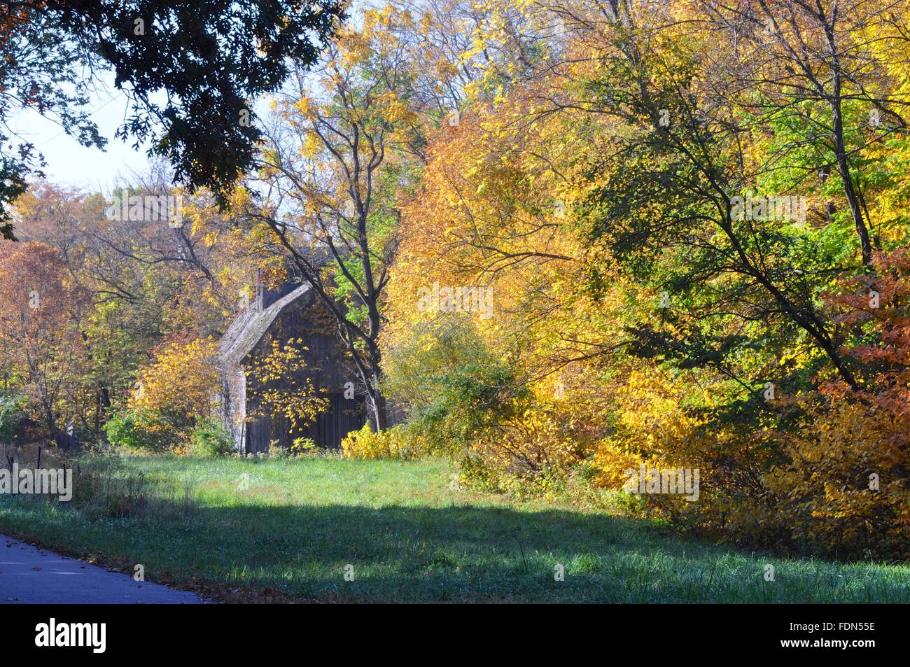 Mais rurale presepe granaio, Tippecanoe County, Indiana Foto Stock