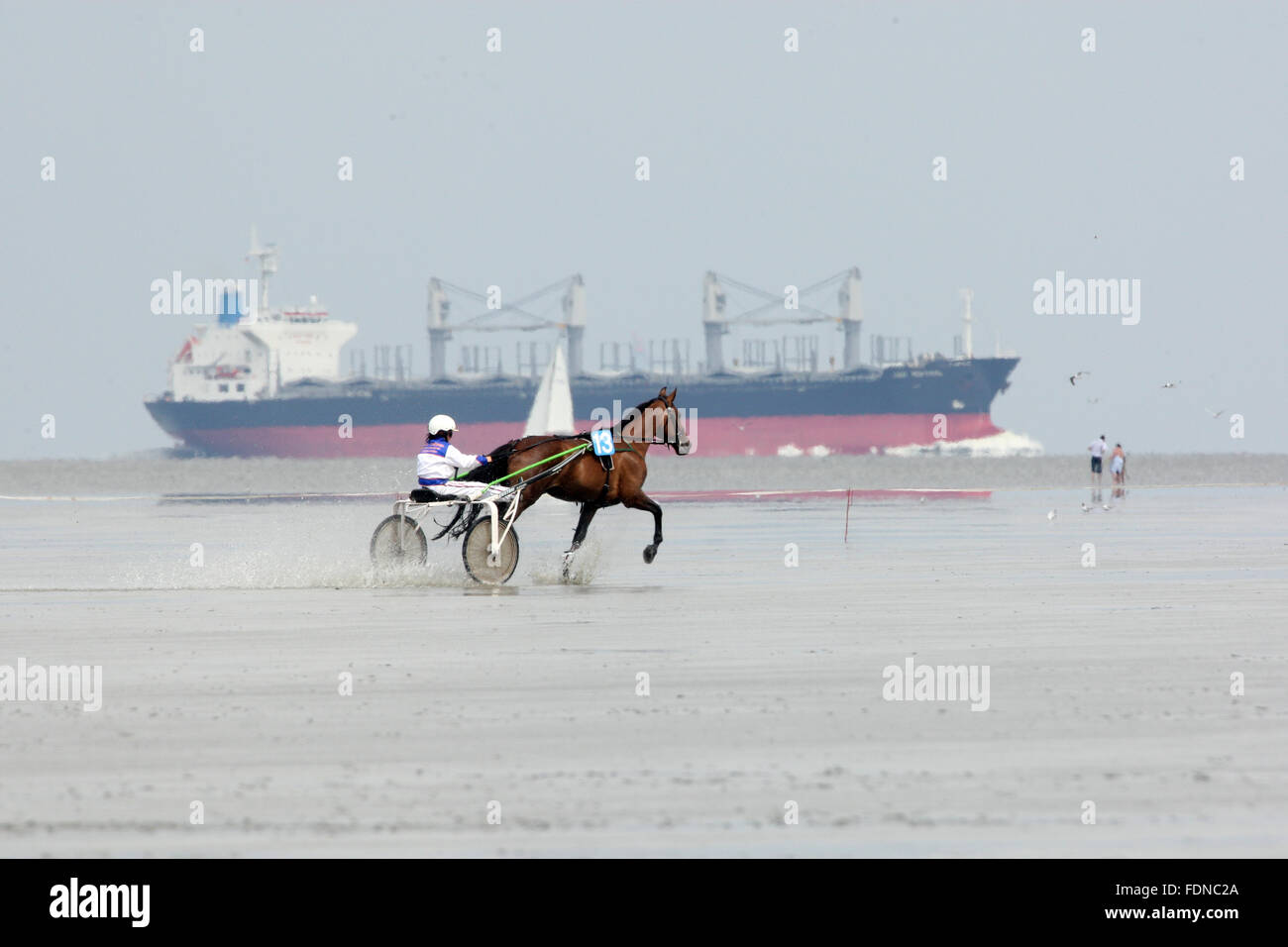 Cuxhaven, Germania, trotto cavallo quando Duhner Watt gara Foto Stock