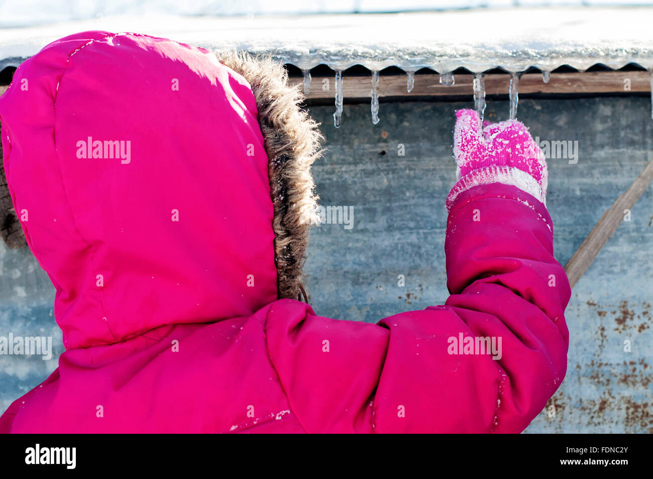 Bambino in inverno picking ghiaccioli off di un fienile Foto Stock Bambino in inverno picking ghiaccioli off di un fienile Foto Stock