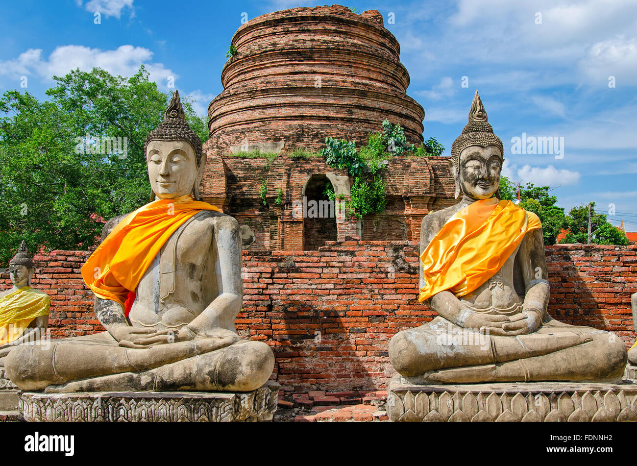 Ayutthaya (Thailandia), statue di Buddha in un vecchio tempio rovine Foto Stock