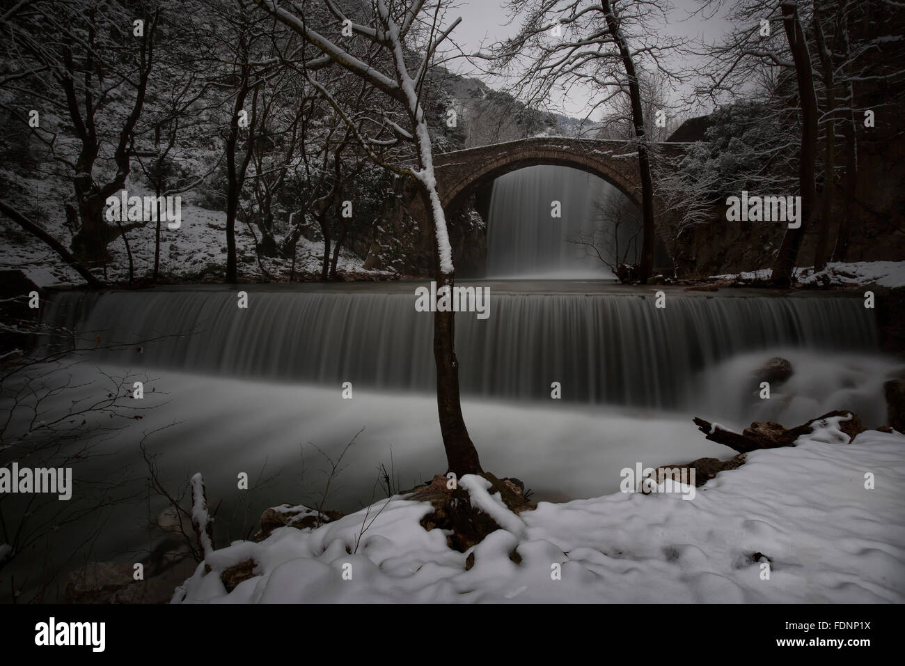 Doppia bellezza invernale Foto Stock