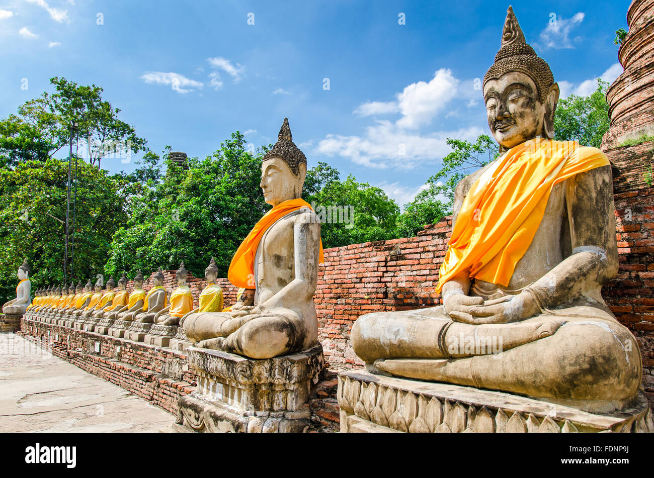 Ayutthaya (Thailandia), statue di Buddha in un vecchio tempio rovine Foto Stock