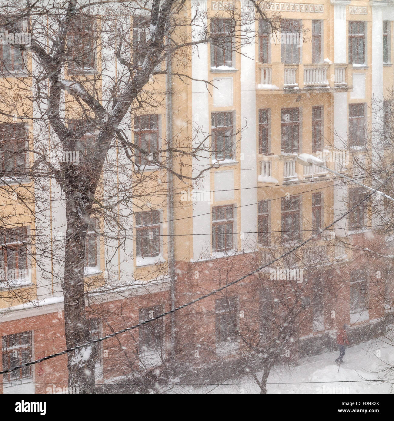 Odessa, Ucraina - 18 Gennaio 2016: un potente ciclone, tempesta, neve pesante paralizzato la città. La gente che camminava per strada assortiti Foto Stock