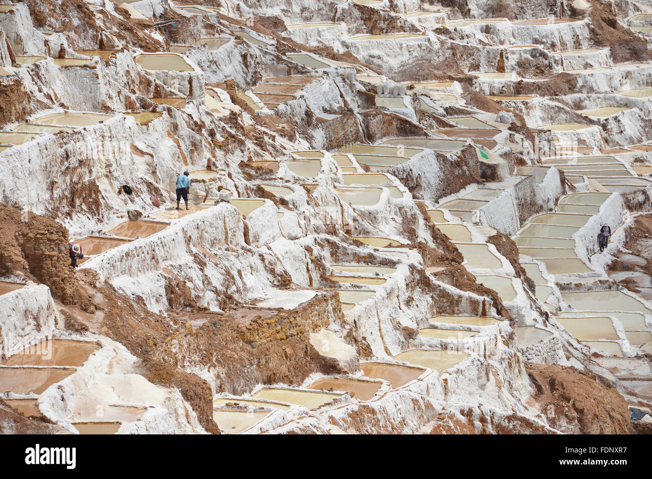 Salina de Maras, il tradizionale inca campo sale in Maras vicino a Cuzco in Valle Sacra, Perù. Foto Stock