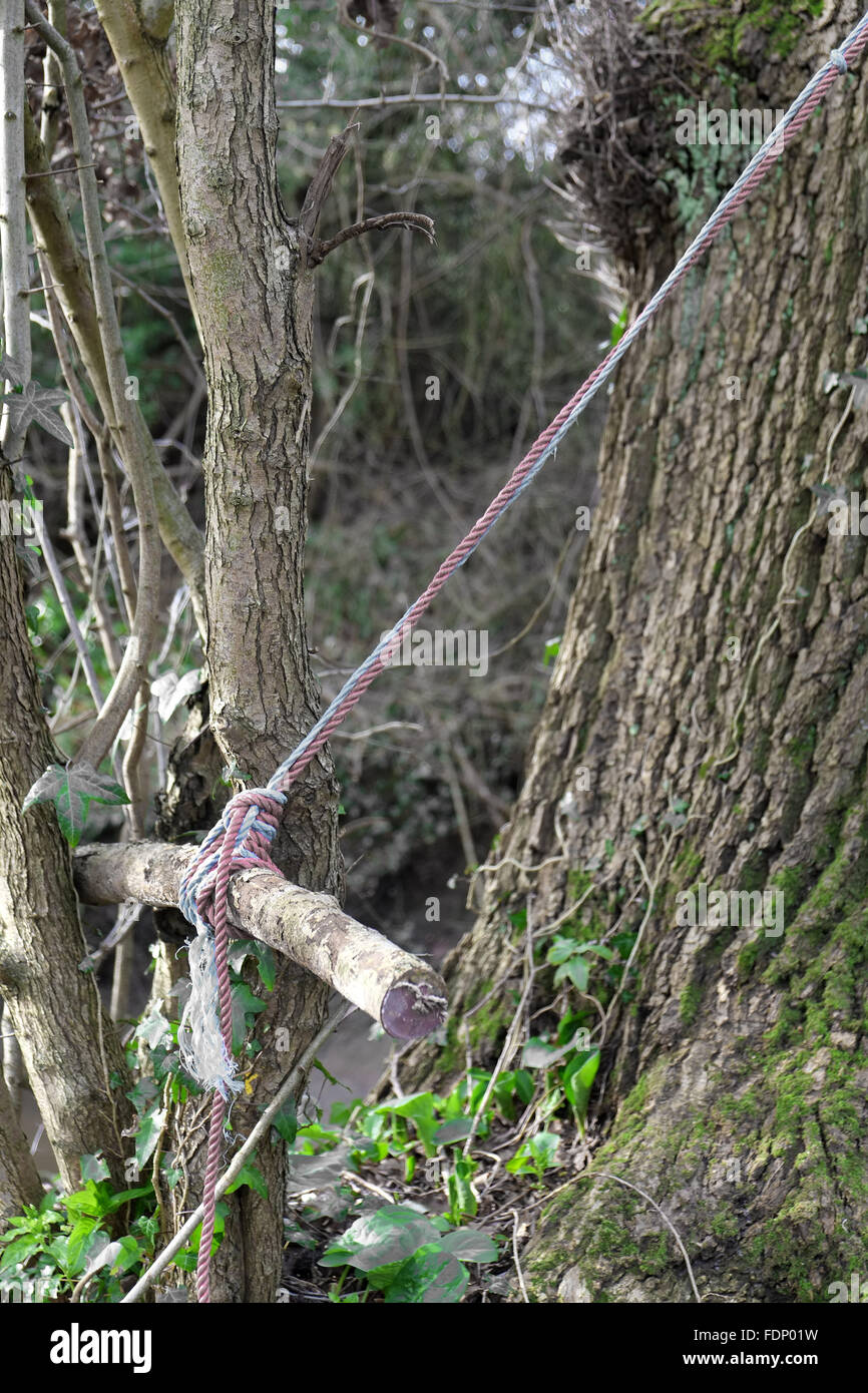 Sede di un fiume swing corda trattenuto tra gli alberi in attesa di un successivo gruppo di giovani a venire e divertirsi. Febbraio 2016 Foto Stock