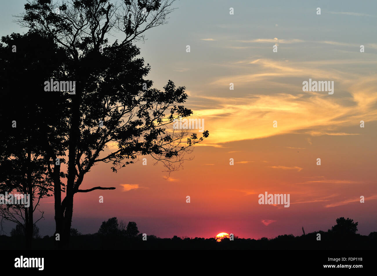 L'impostazione di Sun fornisce una vivida spettacolo al di là di una distesa di terreno naturale in Wayne, Illinois, Stati Uniti d'America. Foto Stock