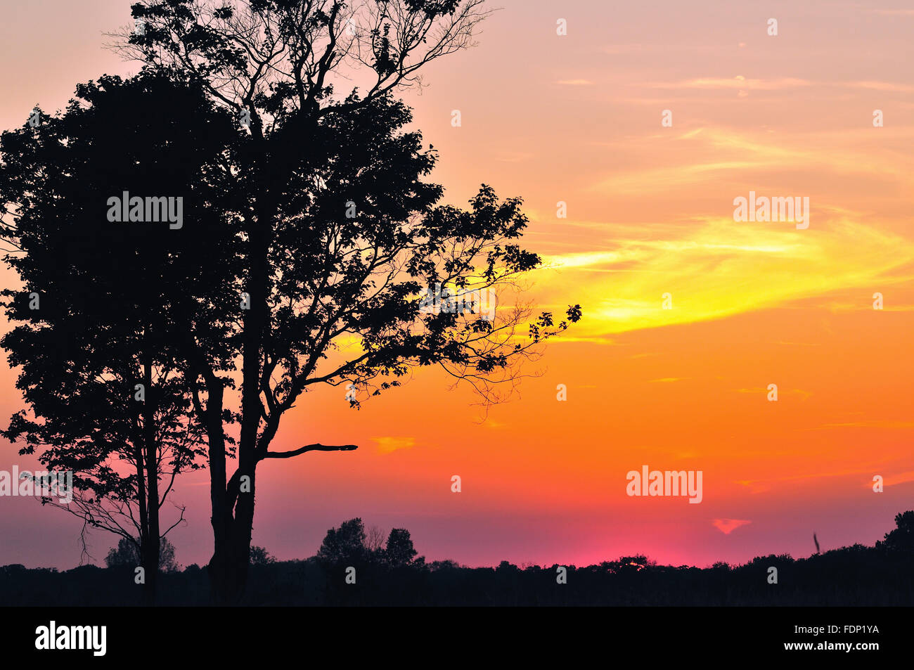 L'impostazione di Sun fornisce una vivida spettacolo al di là di una distesa di terreno naturale in Wayne, Illinois, Stati Uniti d'America. Foto Stock