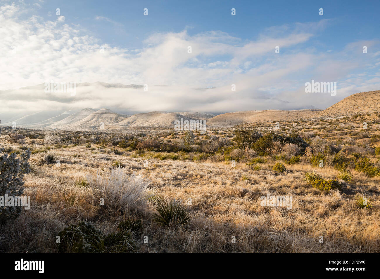 Una tempesta di neve si assesta sulla Montagne Guadalupe Foto Stock