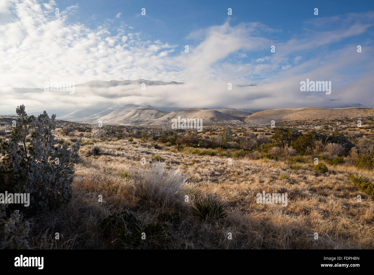 Una tempesta di neve si assesta sulla Montagne Guadalupe Foto Stock