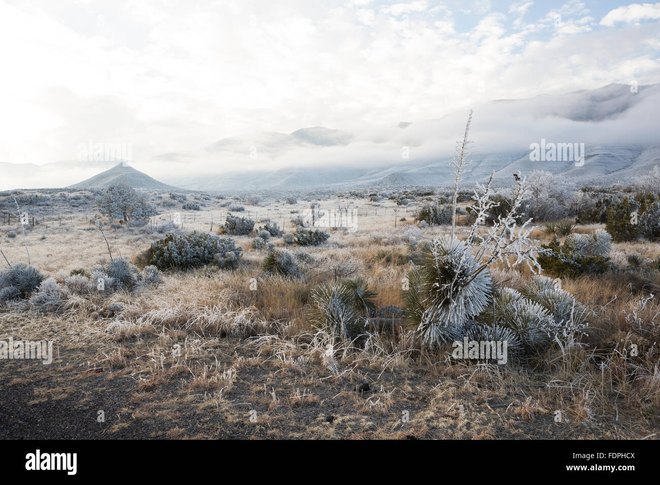 Una tempesta di neve si assesta sulla Montagne Guadalupe Foto Stock