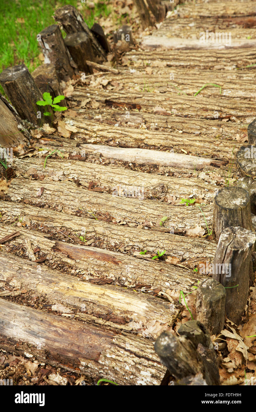 Massaggi via di materiali naturali nella foresta, soleggiata giornata estiva. Foto Stock