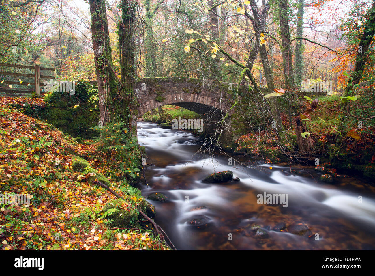 Fiume Webburn a Buckland ponte in autunno del parco nazionale di Dartmoor Devon UK Foto Stock