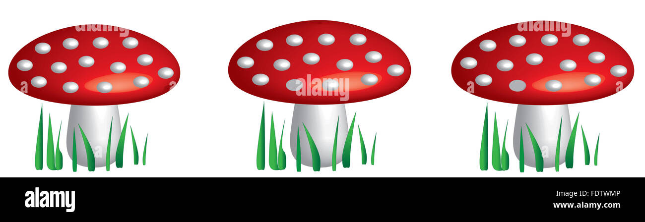 Illustrazione con tre funghi rosso su sfondo bianco Foto Stock