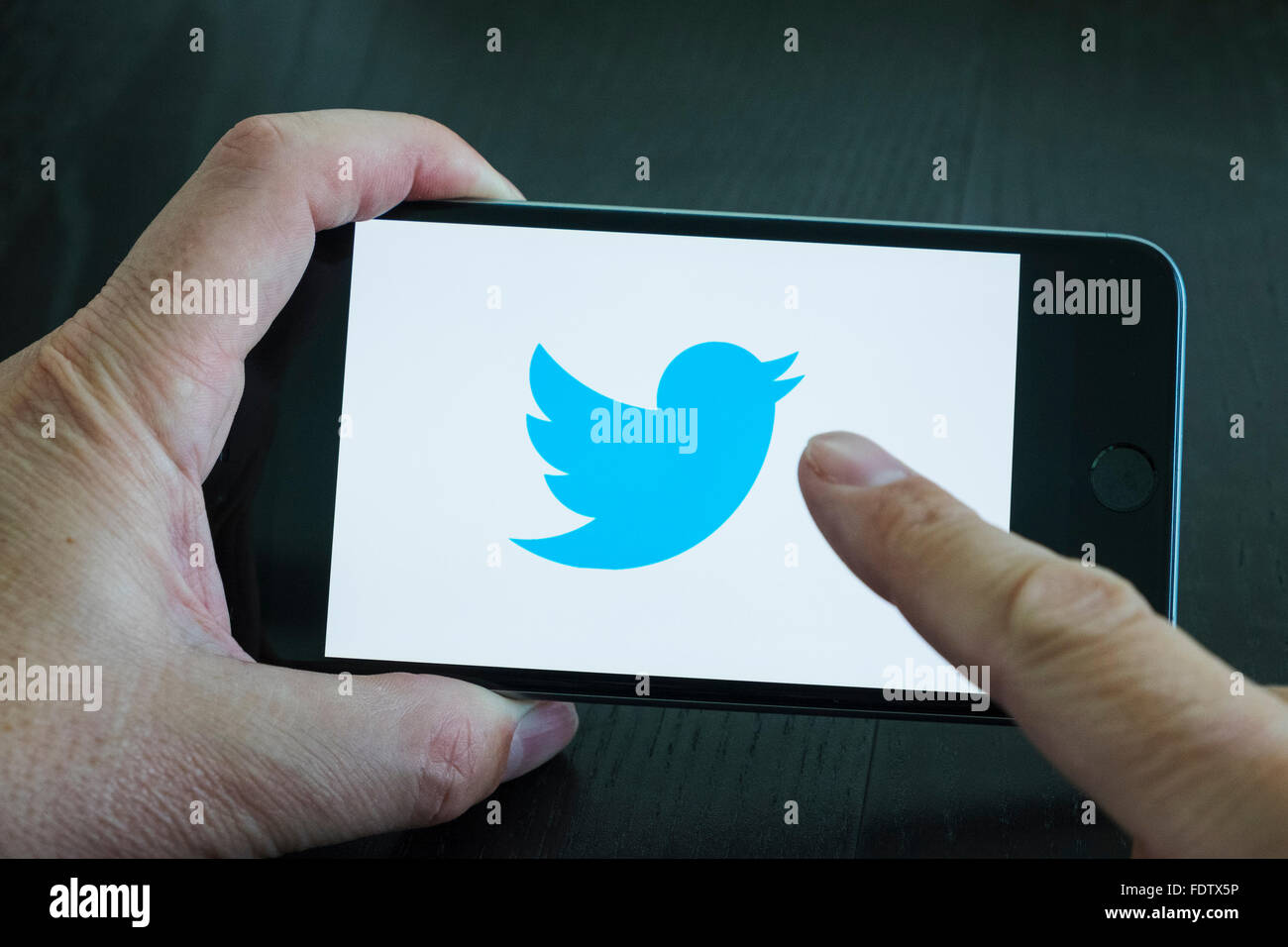 Twitter social media logo sullo schermo di un telefono intelligente Foto Stock