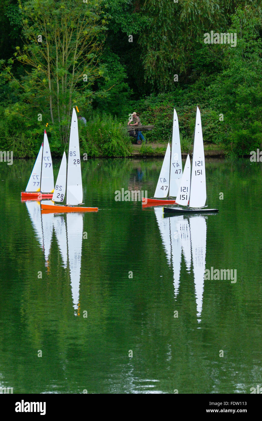 Radio Controlled yachts racing su un lago. Foto Stock